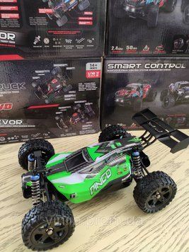 Баггі DINGO Remo Hobby RH1651 4WD RTR 1/16 колекторний 3742 фото
